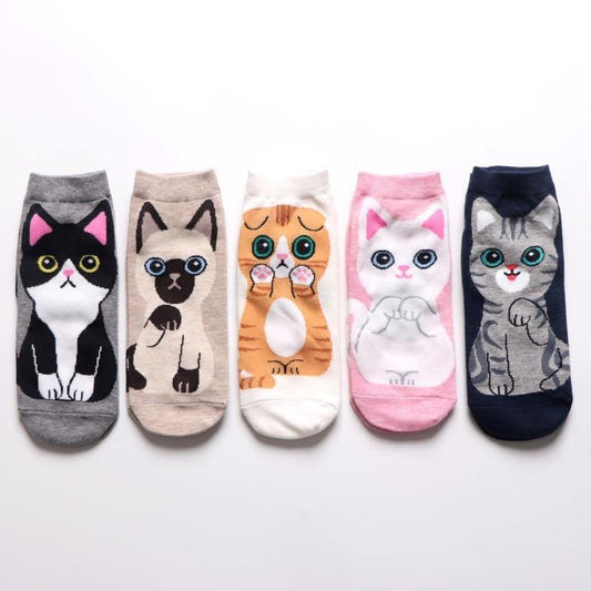 Hello Cat Socks - Meowhiskers