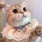 Fashion Cat Lace - Meowhiskers