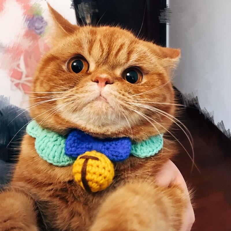 Smart Cat Collar - Meowhiskers