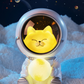 Creative Galaxy Cat Night Light