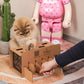 DIY Cat Punch Pop-Up Box