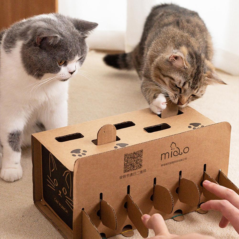 Cardboard box 2024 cat toy