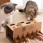 DIY Cat Punch Pop-Up Box