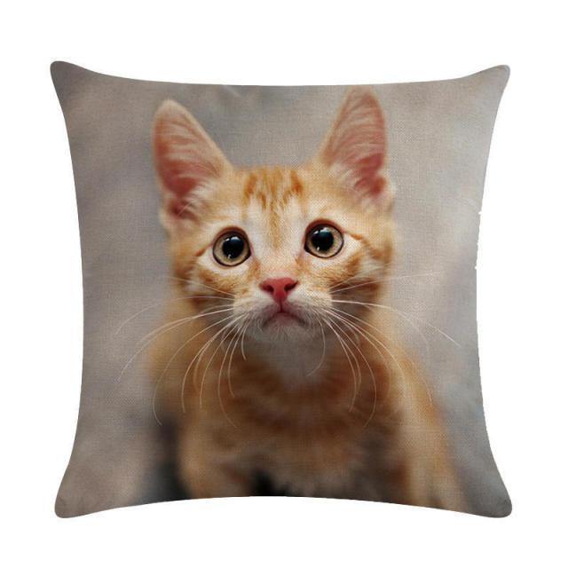 Baby Cat Pillowcase - Meowhiskers