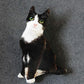 Sweet Cat Plush - Meowhiskers