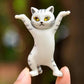 Dance Cat Decor - Meowhiskers