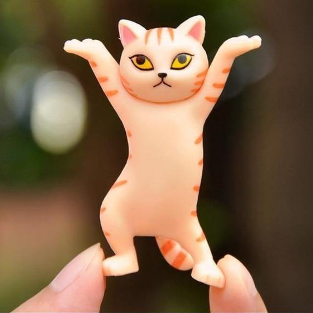 Dance Cat Decor - Meowhiskers